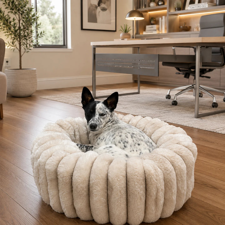 Small dog curled asleep in the Travertine Puffette™ low-profile nesting dog bed, size Small, in a home office