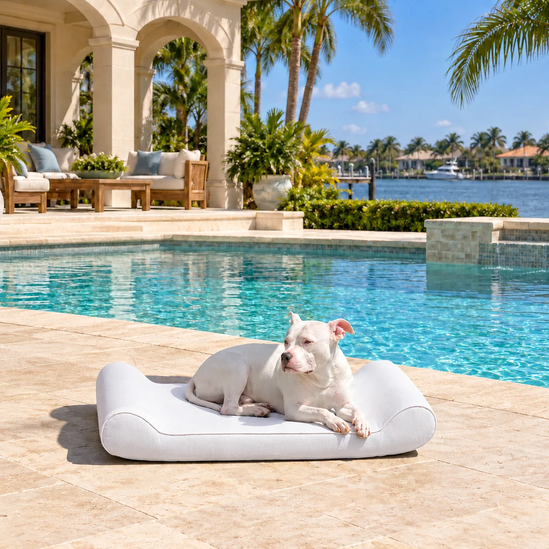 Raine Outdoor Contour Lounger orthopedic outdoor dog bed in Beach with a white dog resting on a pool deck with a waterfront view