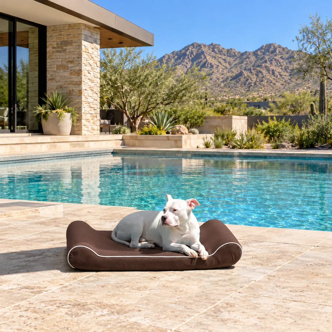 Raine Outdoor Contour Lounger orthopedic outdoor dog bed in Chocolate with a white dog on a pool deck below desert mountains