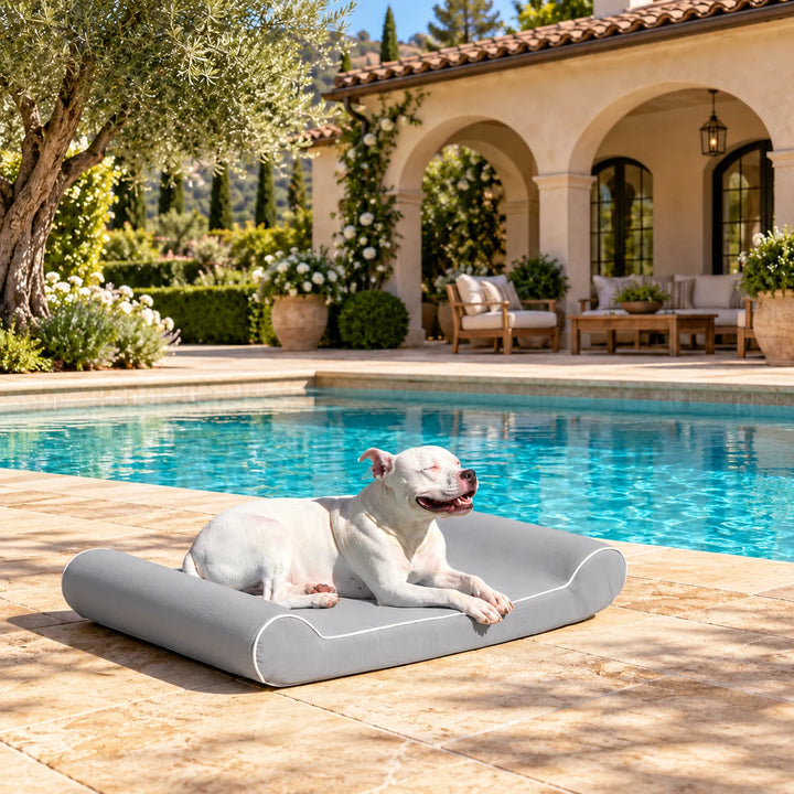 Raine Outdoor Contour Lounger orthopedic outdoor dog bed in Gray with a white dog relaxing by a pool in front of an arched villa