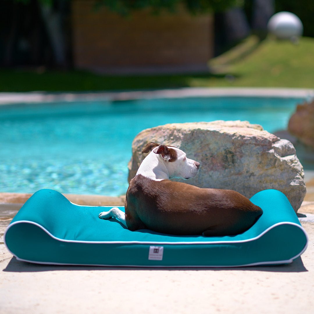 Animals Matter Orthopedic Contour Lounger with Waterproof Cover