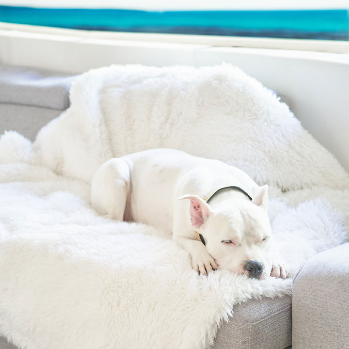New: Animals Matter® Roxy Luxura-Protect™ Waterproof Luxury Dog Blanket