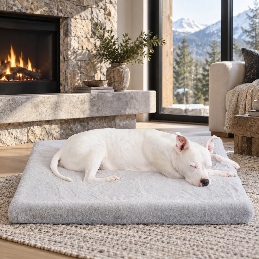 Animals Matter® Ruby Puff® Ortho Rectangle in Light Gray, with a white dog sleeping on the plush bed beside a stone fireplace and mountain-view window.