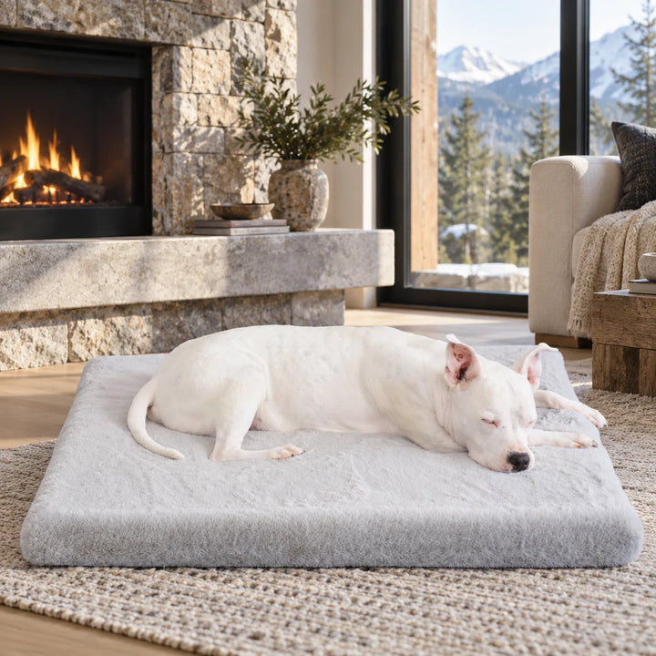 Animals Matter® Ruby Puff® Ortho Rectangle in Light Gray, with a white dog sleeping on the plush bed beside a stone fireplace and mountain-view window.