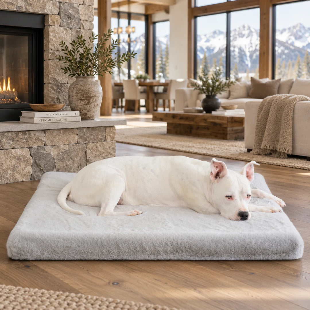 Animals Matter® Ruby Puff® Ortho Rectangle in Light Gray, with a white dog resting on the bed in a timber-and-stone great room overlooking snowy mountains.