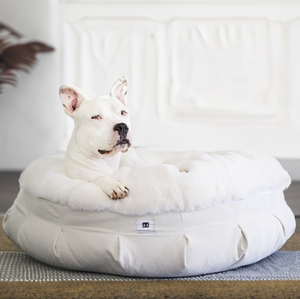 Animals Matter New: Ruby Puff Ortho Lounger Companion-Pedic Luxury Dog Bed S / Light Gray | Premium Pet Supplies for Dogs & Puppies