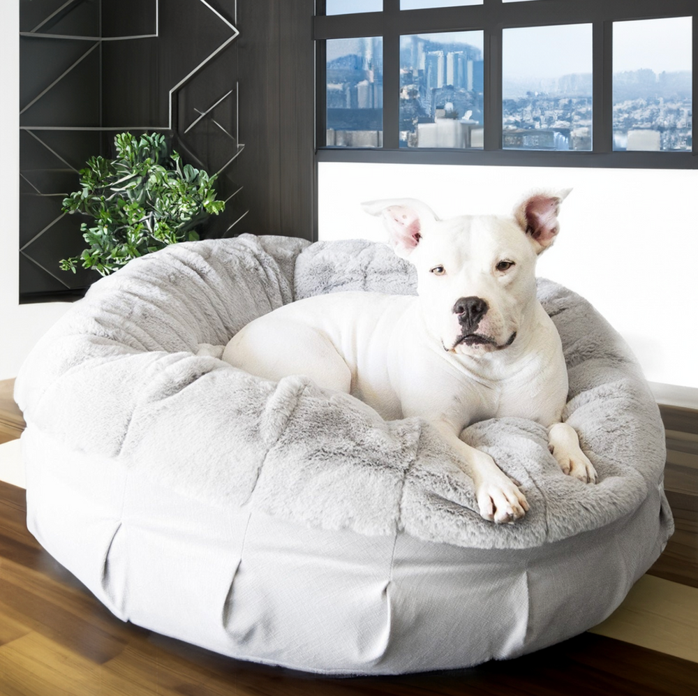 Ruby Puff® Ortho Companion-Pedic® Luxury Dog Bed - Animals Matter, Inc.