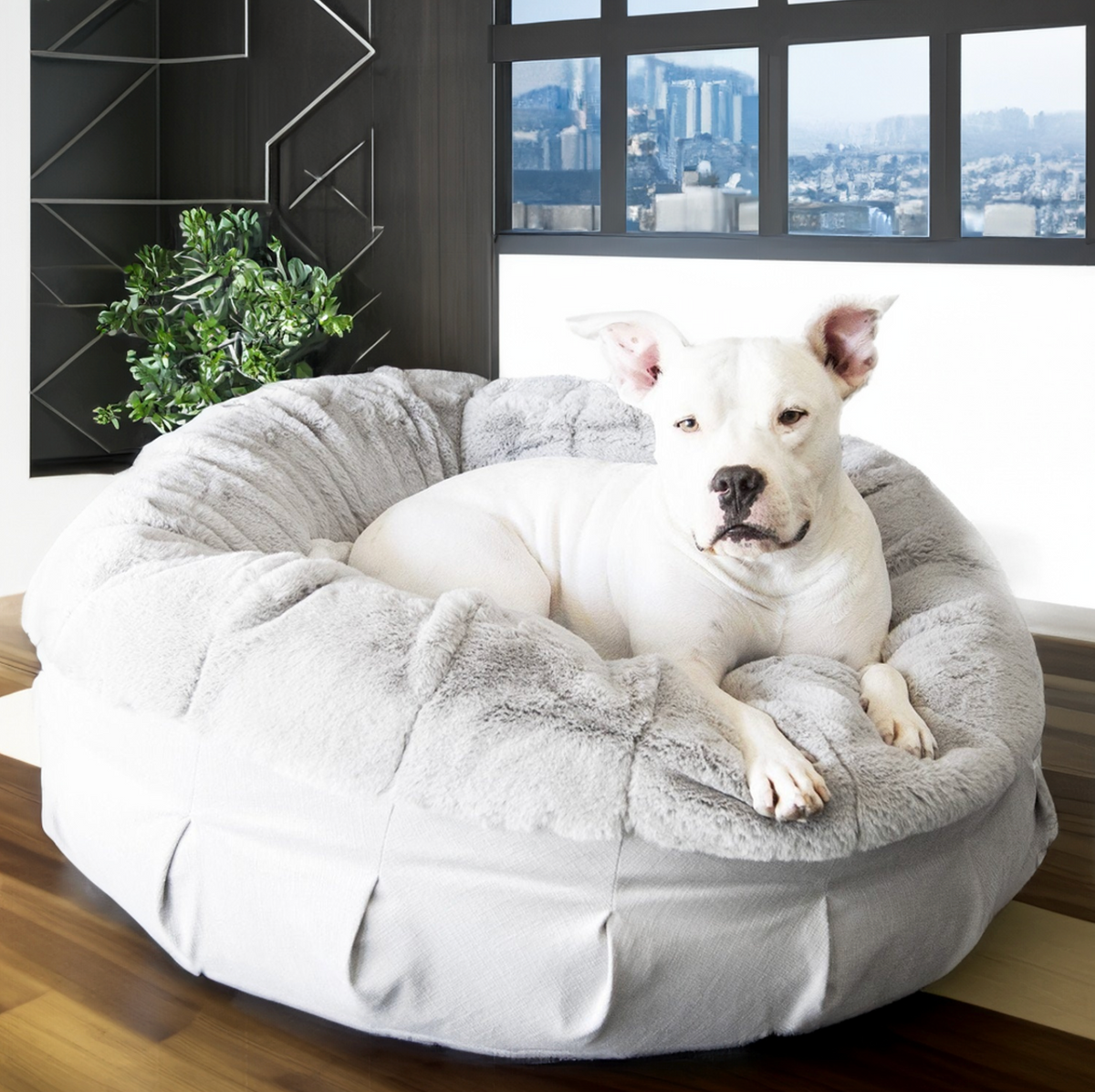 Fur bed for dogs deals