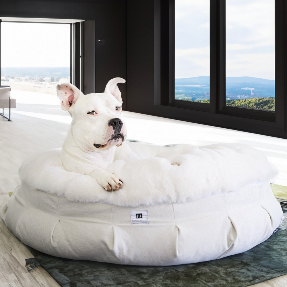 Ruby Puff® Ortho Companion-Pedic® Luxury Dog Bed - Animals Matter, Inc.