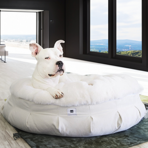 Animals Matter New: Ruby Puff Ortho Lounger Companion-Pedic Luxury Dog Bed S / Light Gray | Premium Pet Supplies for Dogs & Puppies