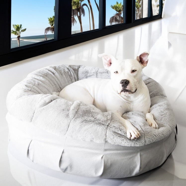 Ruby Puff® Ortho Companion-Pedic® Luxury Dog Bed - Animals Matter, Inc.