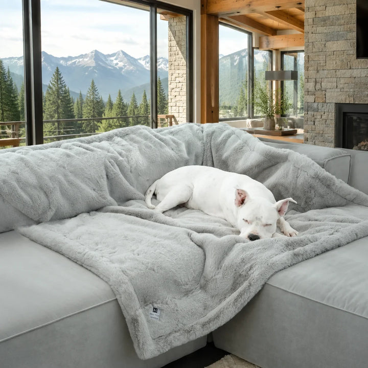 Animals Matter Ruby Puff® Waterproof Luxury Dog Blanket in light gray, with a white dog asleep on plush faux fur in a modern mountain home.