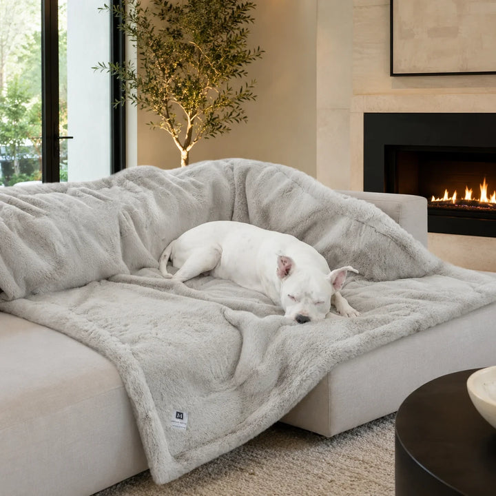 Animals Matter Ruby Puff® Waterproof Luxury Dog Blanket in light gray, with a white dog asleep on plush faux fur beside a modern fireplace.