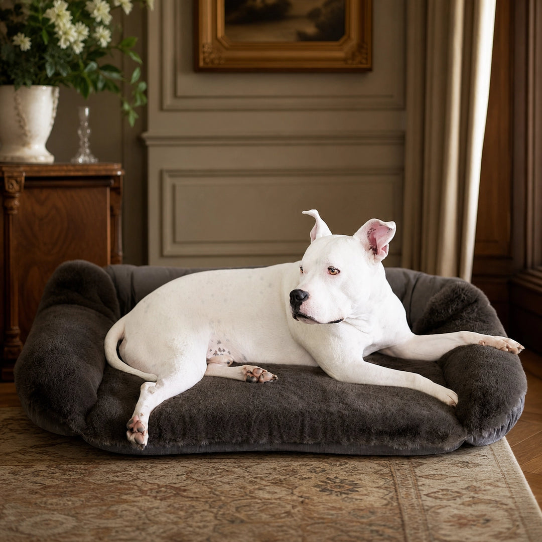Ruby Sydney® Ortho Companion - Pedic® Luxury Dog Bed - Animals Matter, Inc.