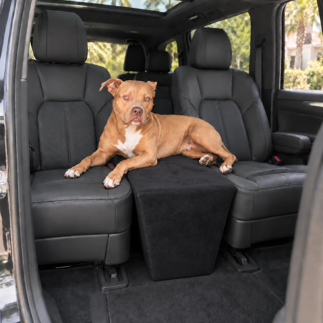 Tan and white dog lying across the Black XL Back Seat Extender between two second-row captain's chairs
