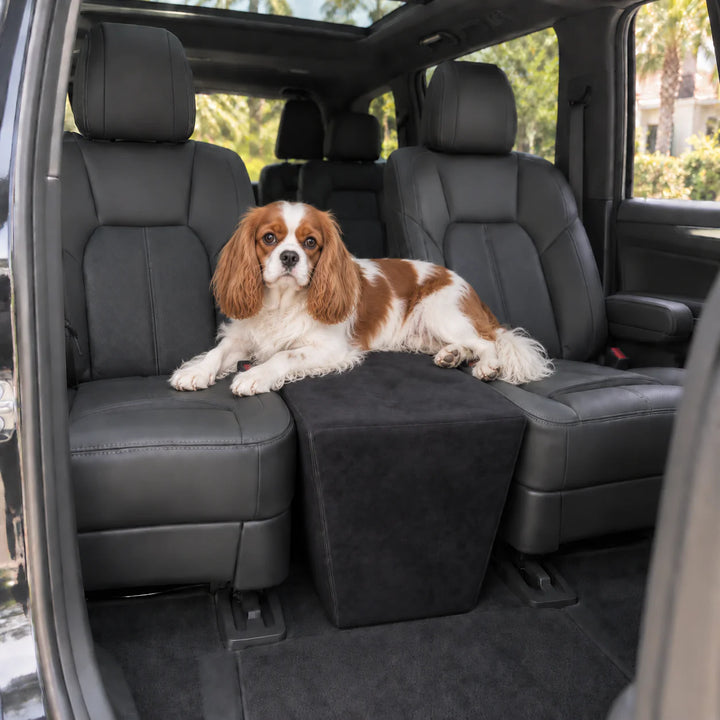 Cavalier King Charles Spaniel lying across the Black XL Back Seat Extender between black leather captain's chairs