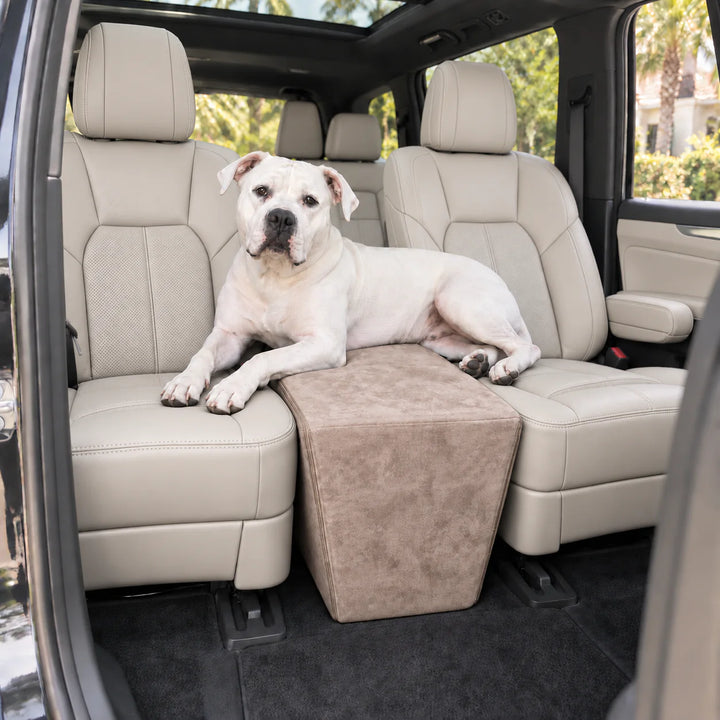 White bulldog lying across the Stone XL Back Seat Extender between cream leather second-row captain's chairs