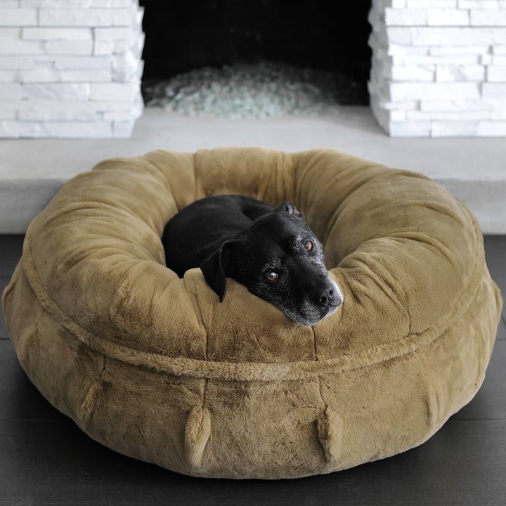 Animals Matter Raine Puff Calming Dog Bed with Pearl Napping inside. This is the Latte Color.