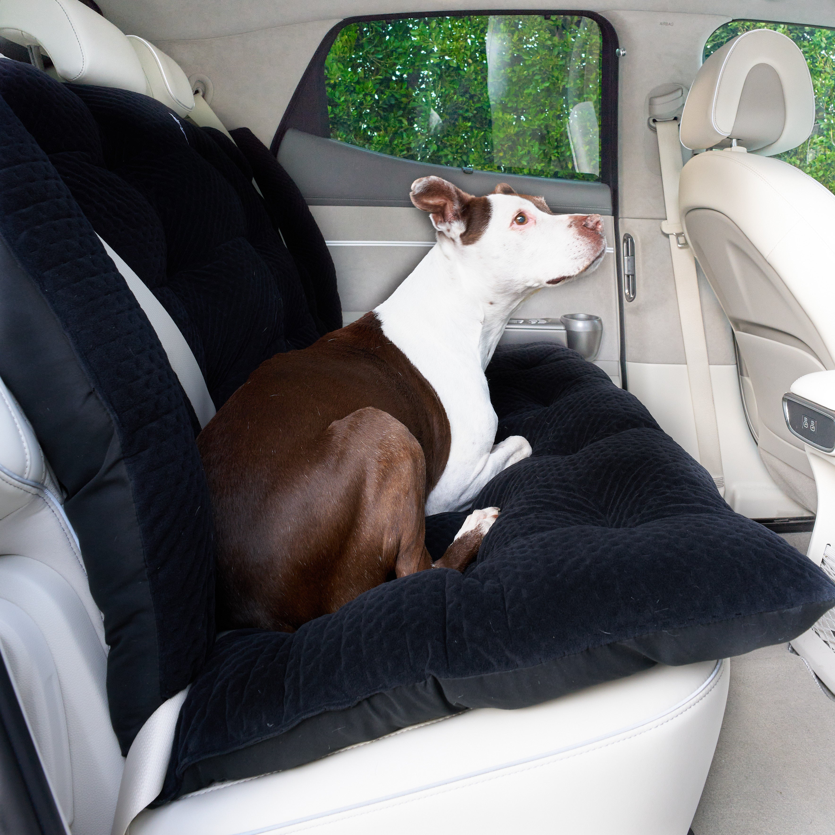 La dog 2025 company car seat