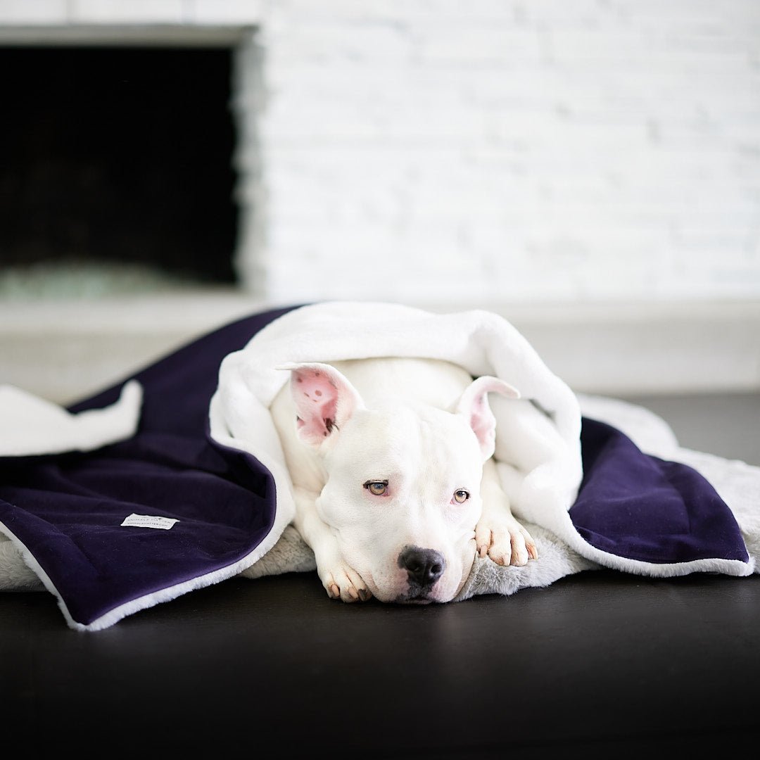 Ali Jewel® Blanket - Animals Matter, Inc.