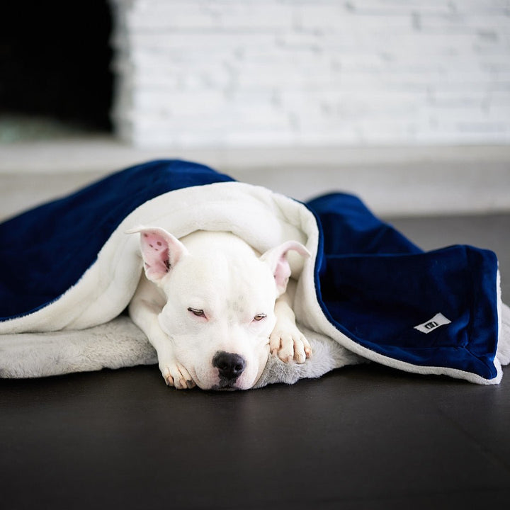 Ali Jewel® Blanket - Animals Matter, Inc.