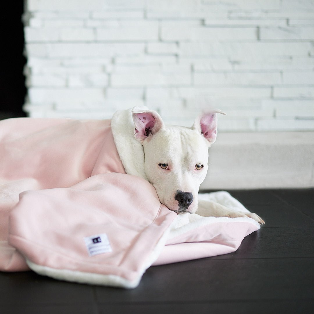 Ali Jewel® Blanket - Animals Matter, Inc.