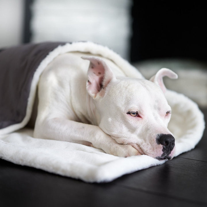 Ali Jewel® Blanket - Animals Matter, Inc.