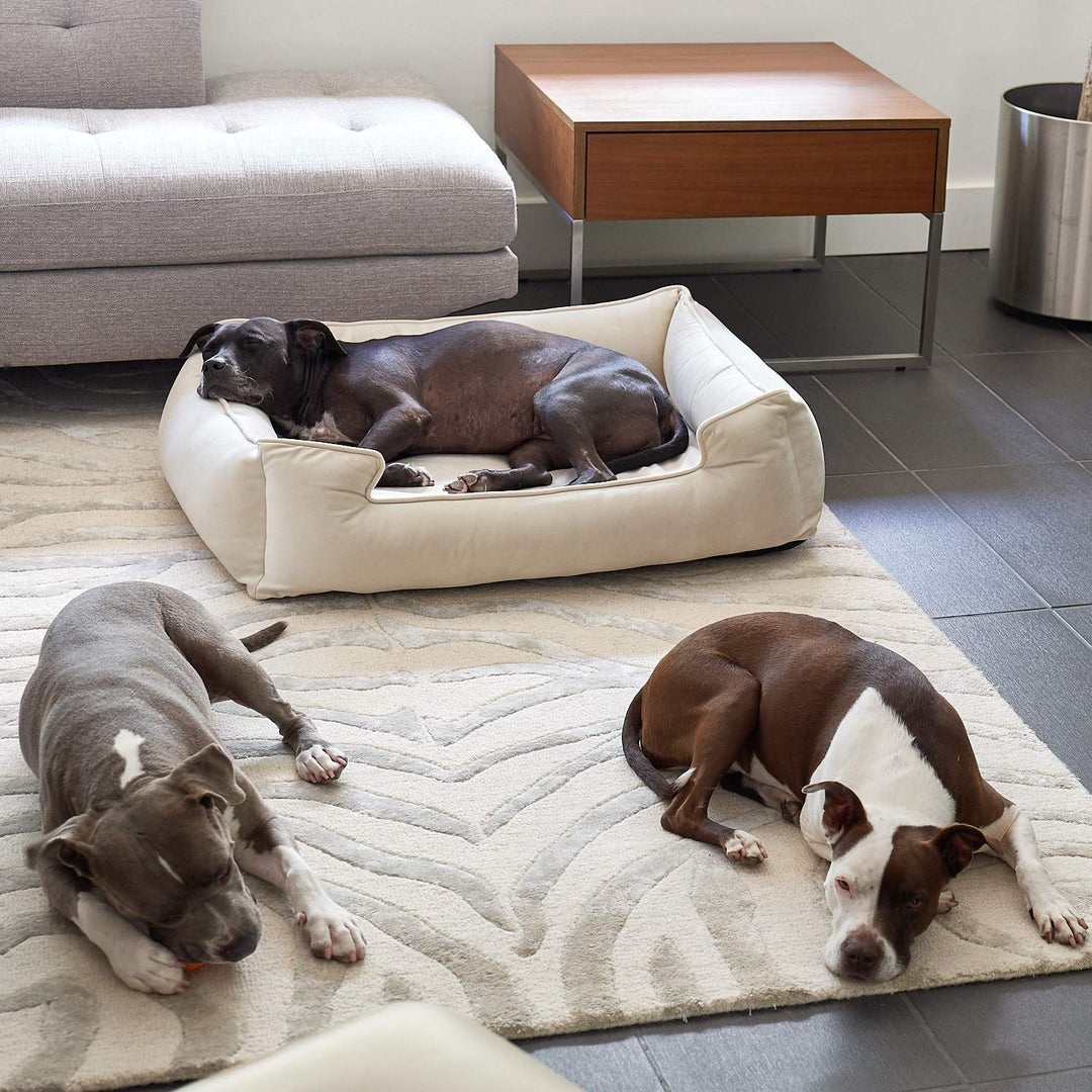 Ali Jewel Ortho Lounger® Companion-Pedic® Luxury Dog Bed - Animals Matter, Inc.