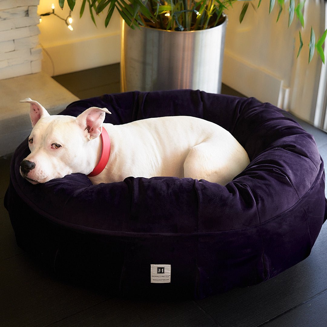 Ali Jewel® Ortho Puff™ Companion-Pedic® Luxury Dog Bed - Animals Matter, Inc.