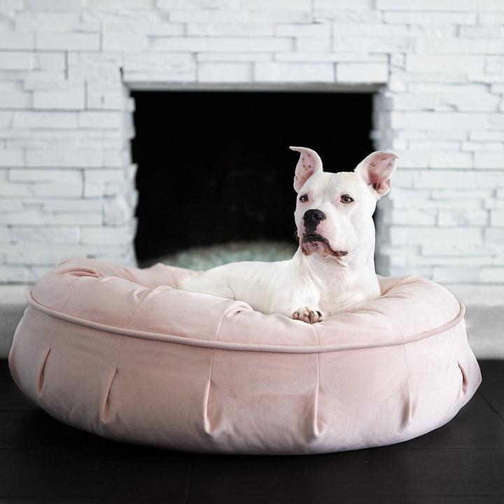 Ali Jewel® Ortho Puff™ Companion-Pedic® Luxury Dog Bed - Animals Matter, Inc.