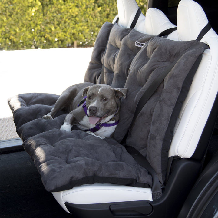 Animals Matter® Companion Travel Cushion Bench - Animals Matter, Inc.