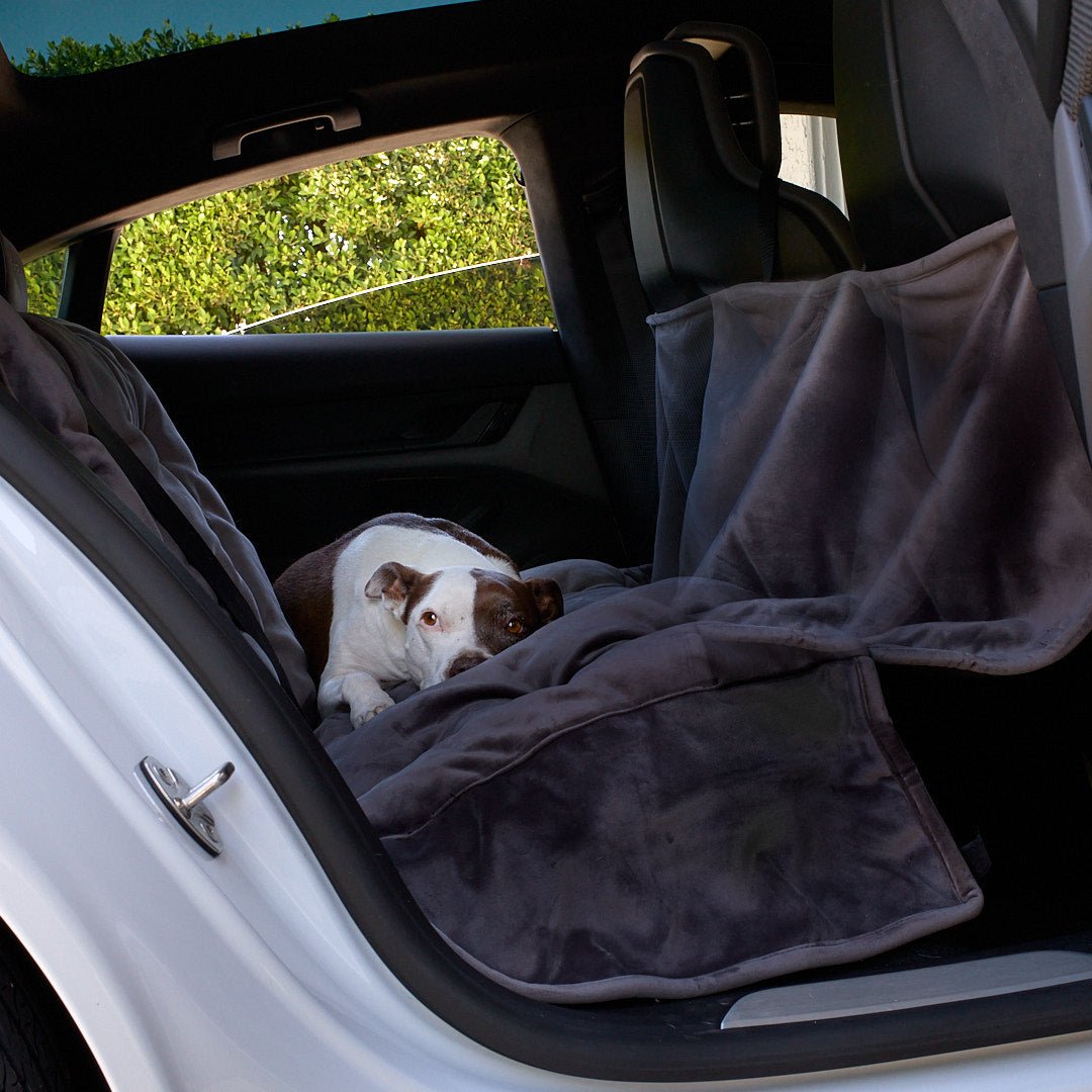 Animals Matter® Companion Travel Hammock Car Seat Cover