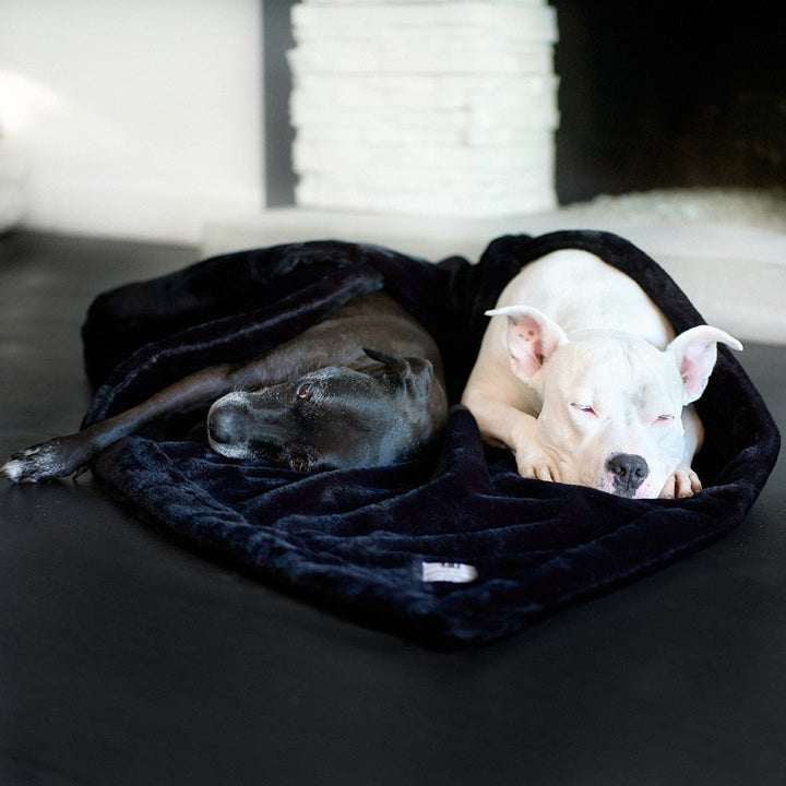 Animals Matter® Cozy Raine Waterproof Blanket® - Animals Matter, Inc.