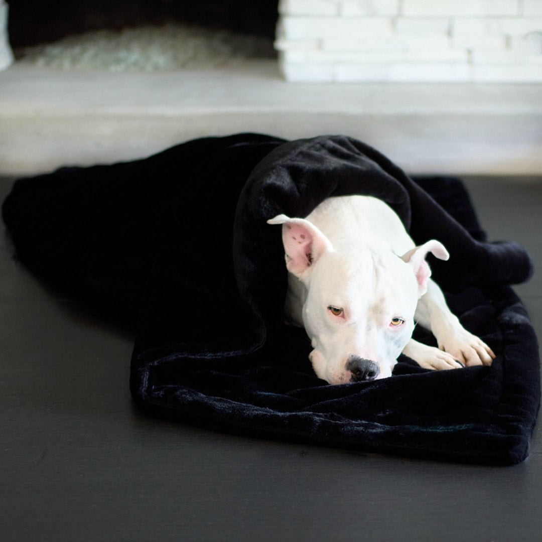 Animals Matter® Cozy Raine Waterproof Blanket® - Animals Matter, Inc.