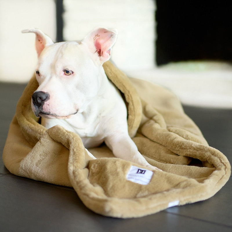 Luxury Dog Beds for Small & Large Pets Page 3 - Animals Matter, Inc.