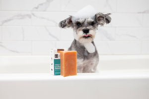 Organic shop dog soap