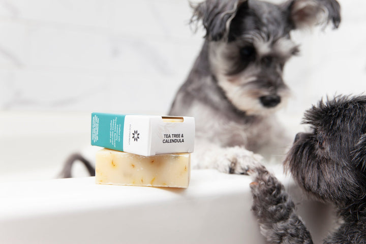 Animals Matter® Organic Companion Soap Bar® - Animals Matter, Inc.