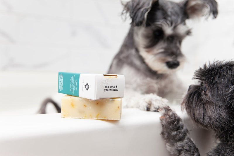 Animals Matter® Organic Companion Dog Soap Bar® Animals Matter, Inc.