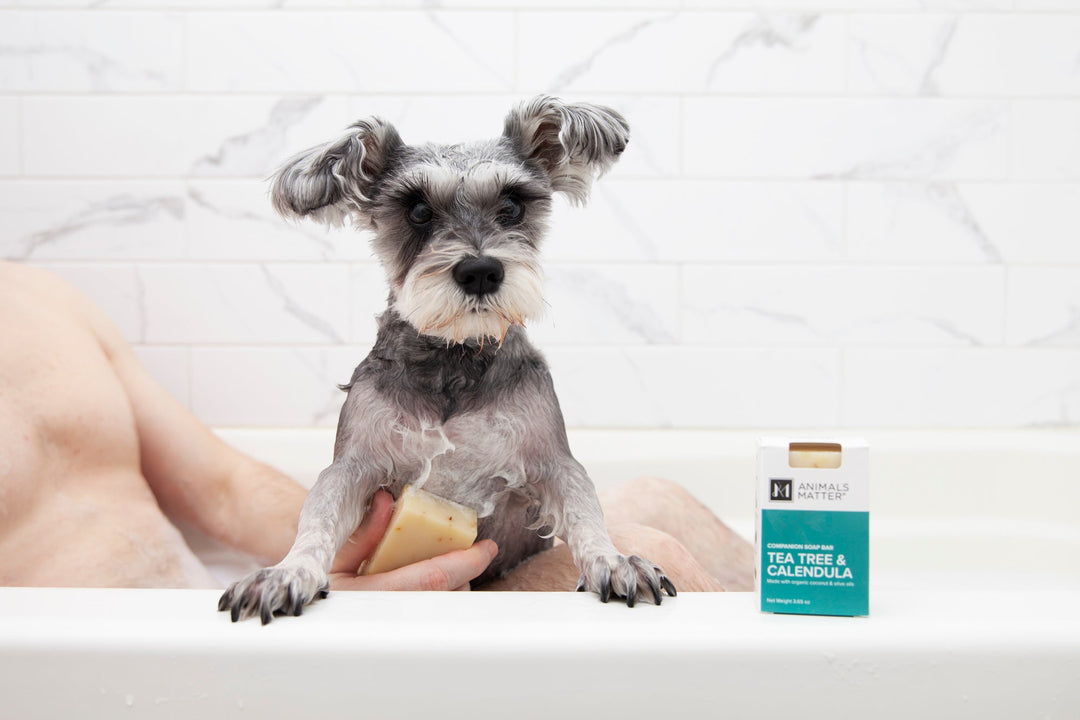 Animals Matter® Organic Companion Soap Bar® - Animals Matter, Inc.