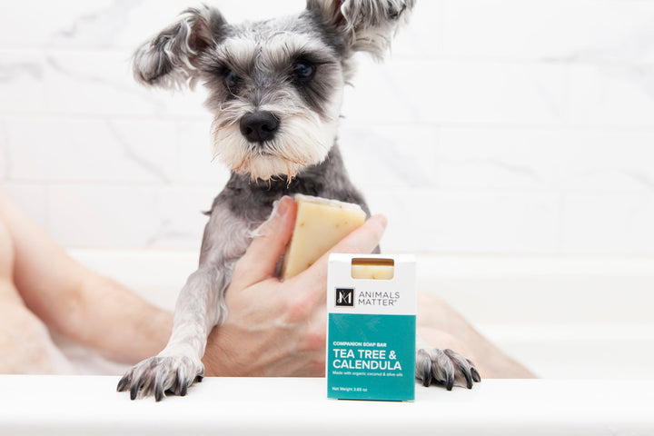 Animals Matter® Organic Companion Soap Bar® - Animals Matter, Inc.