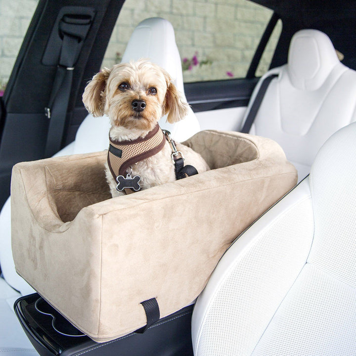 Companion Car Seat Console® - Animals Matter, Inc.