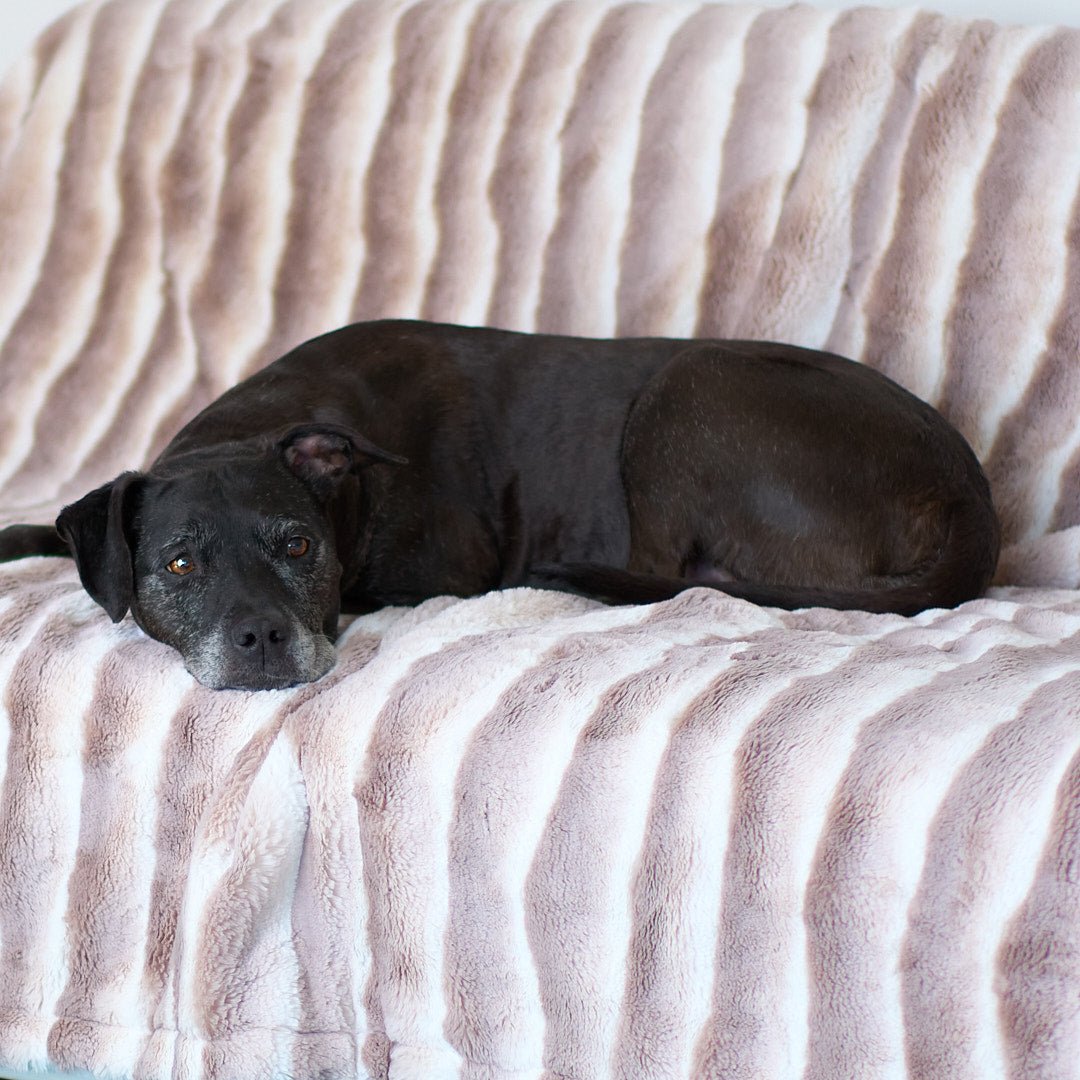 Cozy Chinchilla Faux Fur Luxury Dog Blanket - Animals Matter, Inc.