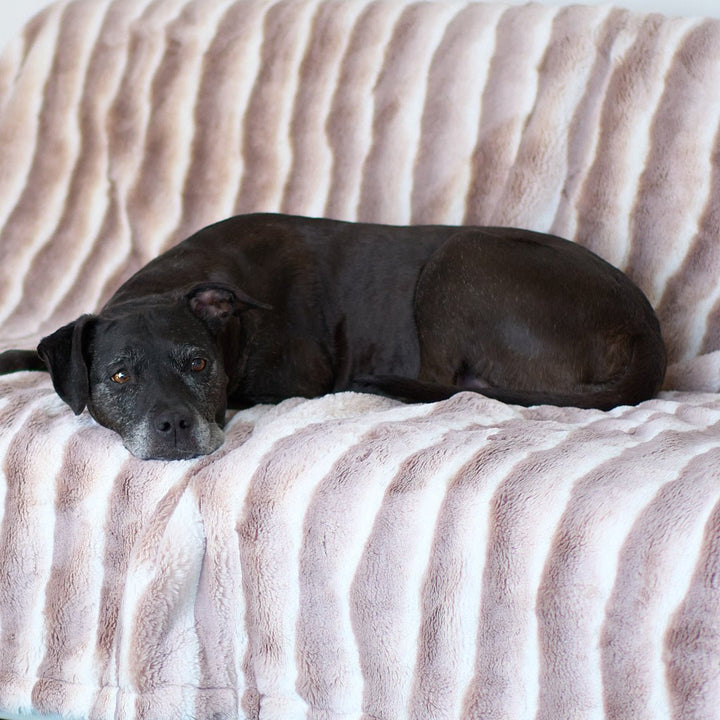 Cozy Chinchilla Faux Fur Luxury Dog Blanket - Animals Matter, Inc.