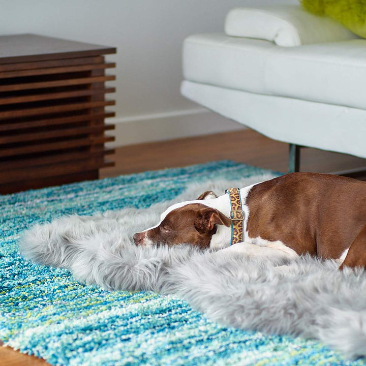 Faux Fur Ortho Shag Rug™Companion-Pedic® Luxury Dog Bed - Animals Matter, Inc.