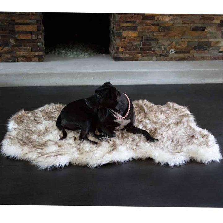 Faux Fur Ortho Shag Rug™Companion-Pedic® Luxury Dog Bed - Animals Matter, Inc.