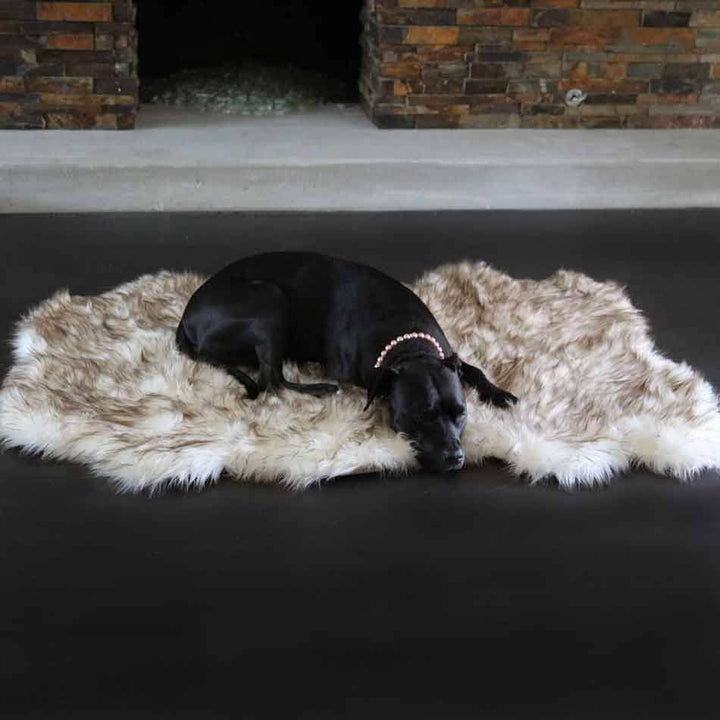 Faux Fur Ortho Shag Rug™Companion-Pedic® Luxury Dog Bed - Animals Matter, Inc.