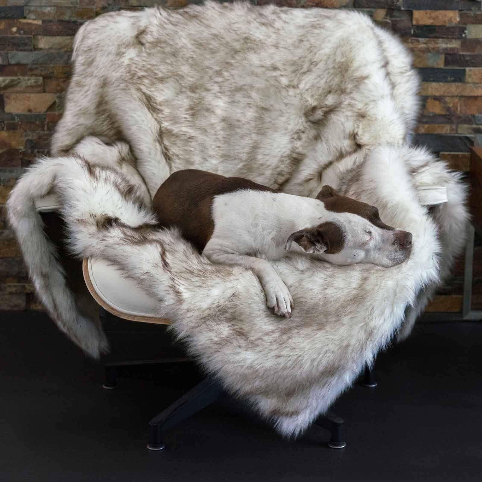 Animals Matter Faux Fur Shag Blanket