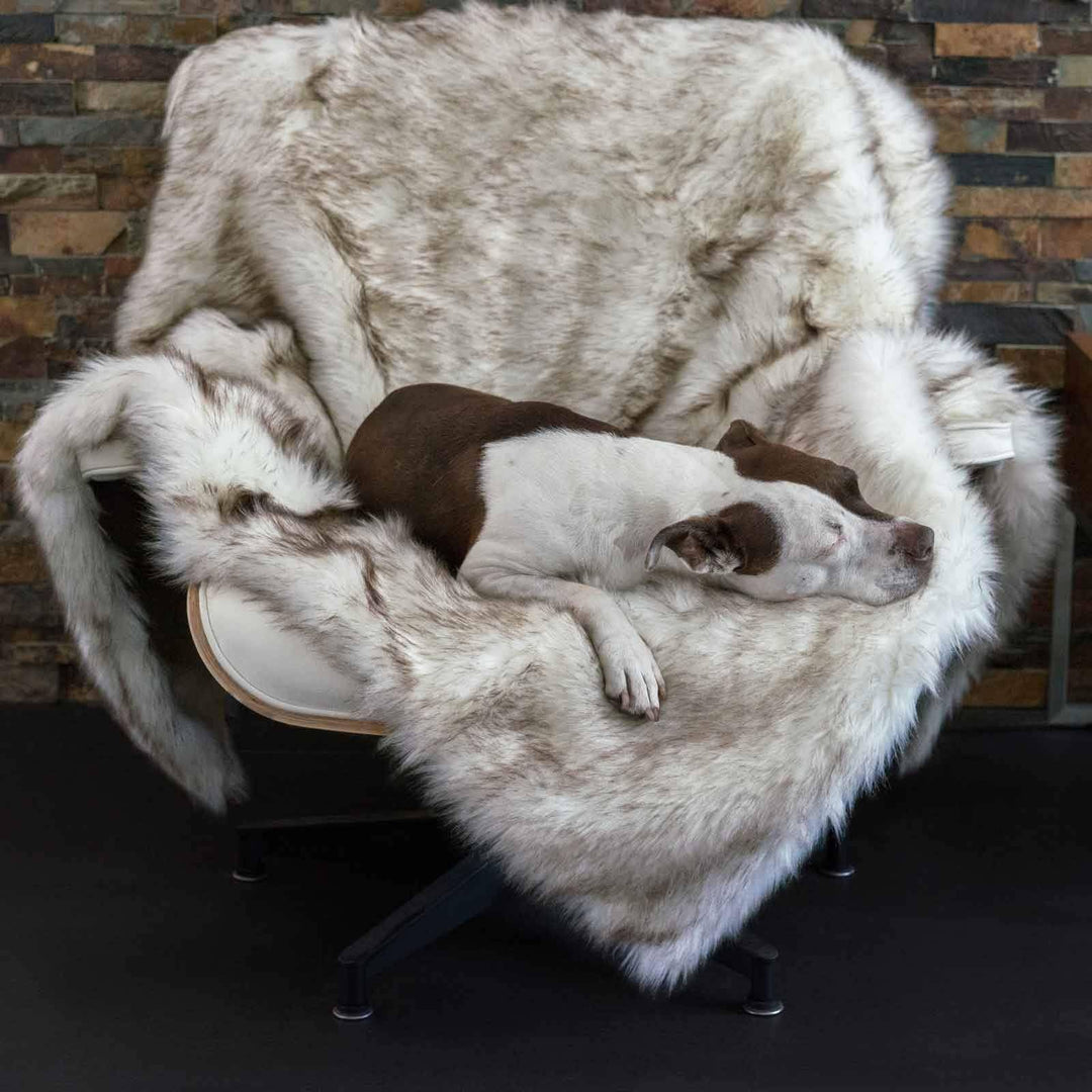 Faux Fur Shag Blanket - Animals Matter, Inc.