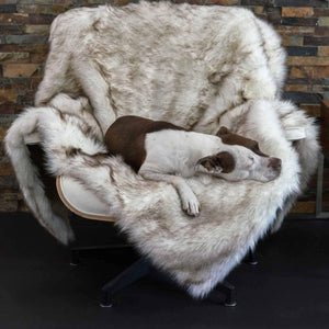 Faux fur best sale dog blanket