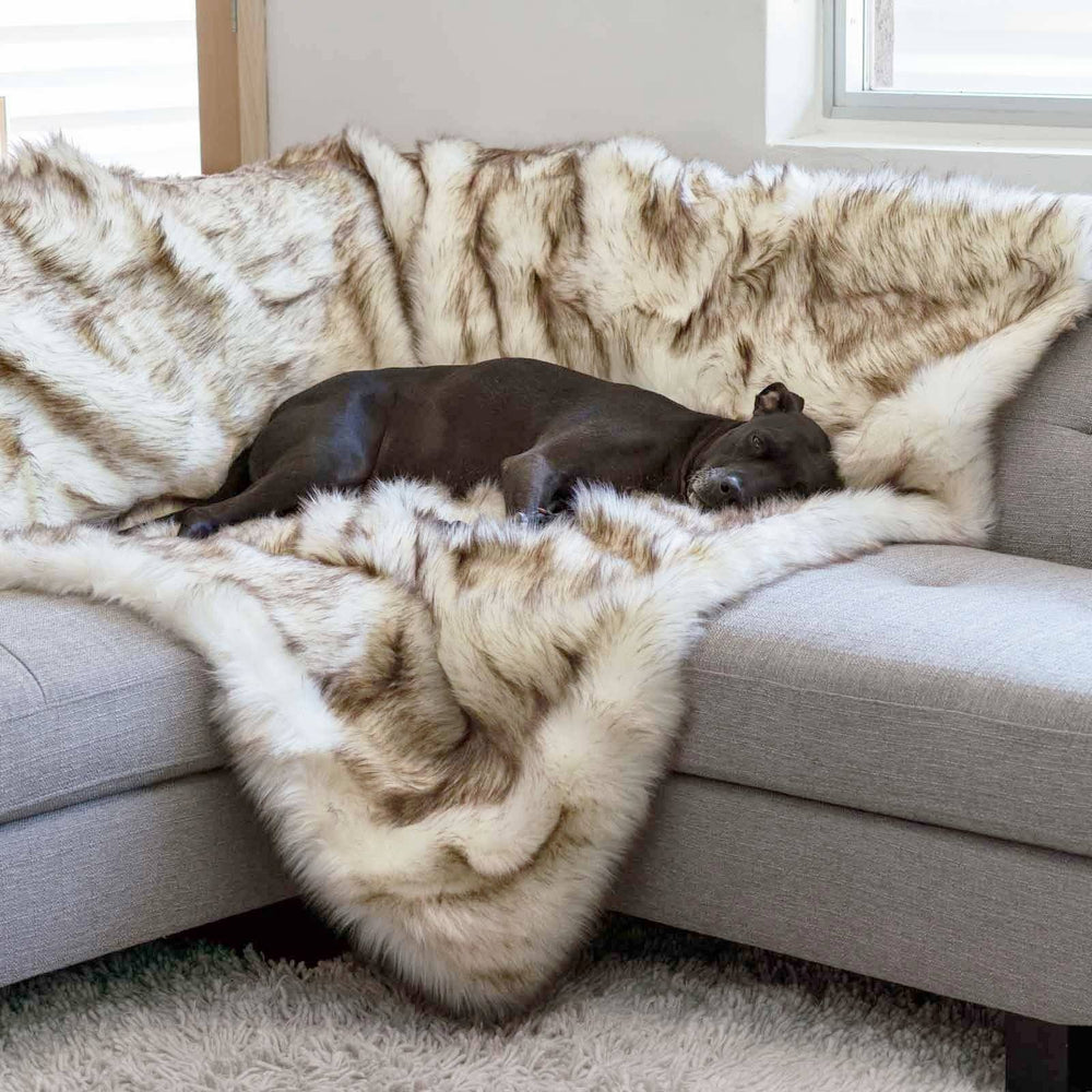 Faux Fur Shag Blanket - Animals Matter, Inc.